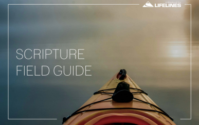 Scripture Field Guide